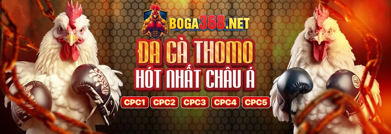 Xu hướng cá cược trực tuyến 2026